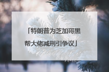 特朗普为芝加哥黑帮大佬减刑引争议