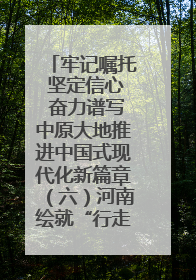 牢记嘱托 坚定信心 奋力谱写中原大地推进中国式现代化新篇章（六）河南绘就“行走河南·读懂中国”新画卷丨牢记嘱托谱新篇