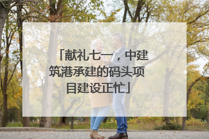 献礼七一，中建筑港承建的码头项目建设正忙