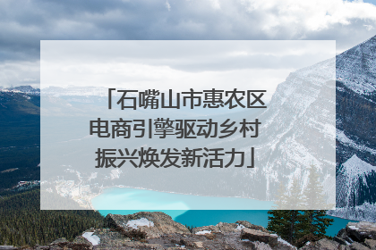 石嘴山市惠农区电商引擎驱动乡村振兴焕发新活力