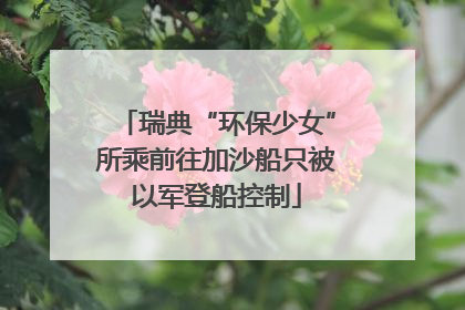 瑞典“环保少女”所乘前往加沙船只被以军登船控制