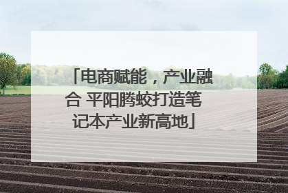 电商赋能，产业融合 平阳腾蛟打造笔记本产业新高地