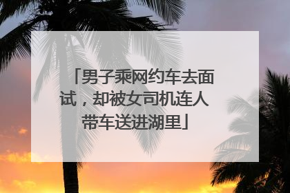 男子乘网约车去面试，却被女司机连人带车送进湖里