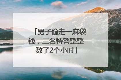 男子偷走一麻袋钱，三名特警整整数了2个小时