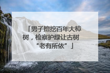 男子擅挖百年大樟树，检察护绿让古树“老有所依”