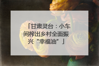 甘肃灵台：小车间榨出乡村全面振兴“幸福油”