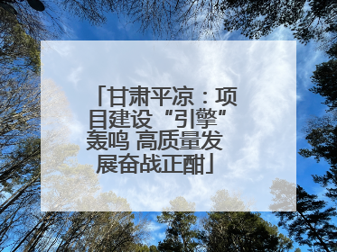 甘肃平凉：项目建设“引擎”轰鸣 高质量发展奋战正酣