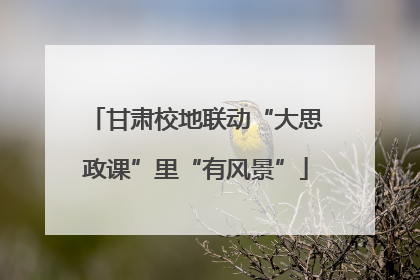 甘肃校地联动“大思政课”里“有风景”