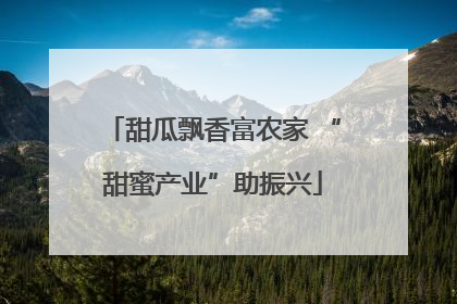 甜瓜飘香富农家 “甜蜜产业”助振兴