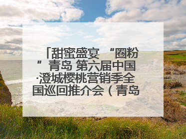 甜蜜盛宴 “圈粉”青岛 第六届中国·澄城樱桃营销季全国巡回推介会（青岛站）成功举办