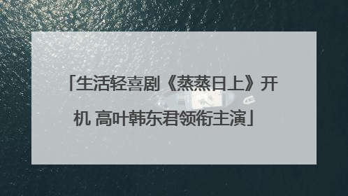 生活轻喜剧《蒸蒸日上》开机 高叶韩东君领衔主演
