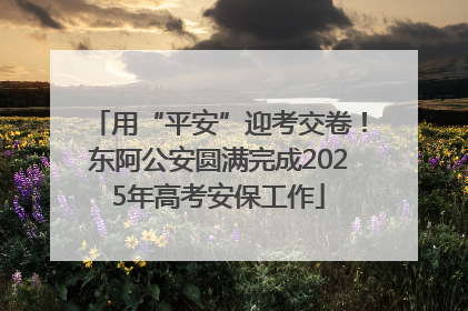 用“平安”迎考交卷！东阿公安圆满完成2025年高考安保工作
