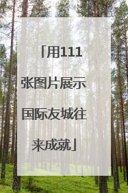 用111张图片展示国际友城往来成就