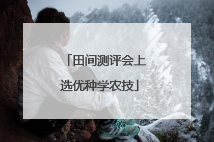 田间测评会上选优种学农技