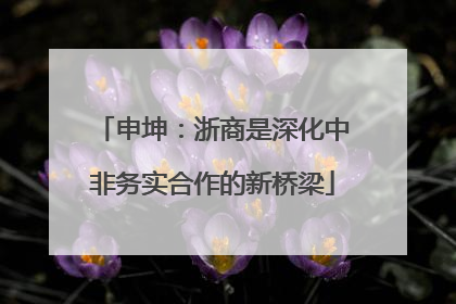 申坤：浙商是深化中非务实合作的新桥梁