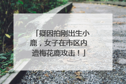 疑因拍刚出生小鹿，女子在市区内遭梅花鹿攻击！