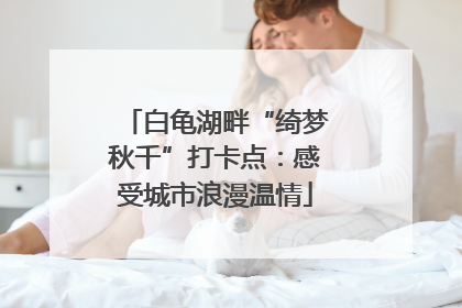 白龟湖畔“绮梦秋千”打卡点：感受城市浪漫温情