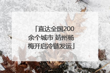 直达全国200余个城市 靖州杨梅开启冷链发运
