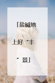 盐碱地上好“丰”景