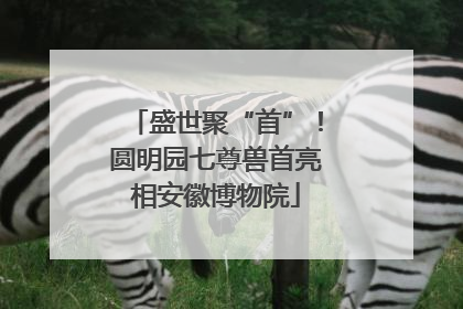 盛世聚“首”！圆明园七尊兽首亮相安徽博物院