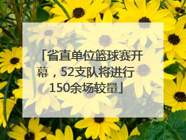 省直单位篮球赛开幕，52支队将进行150余场较量