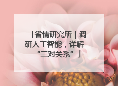 省情研究所｜调研人工智能，详解“三对关系”