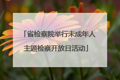 省检察院举行未成年人主题检察开放日活动