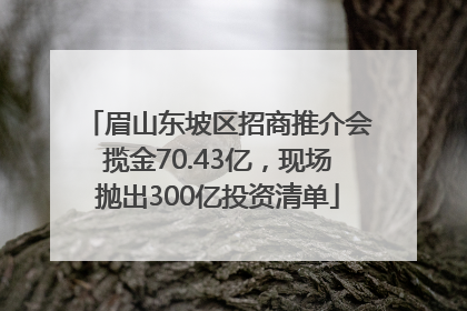 眉山东坡区招商推介会揽金70.43亿，现场抛出300亿投资清单