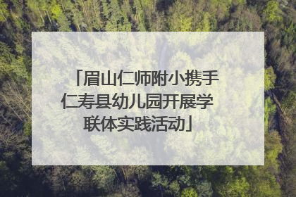 眉山仁师附小携手仁寿县幼儿园开展学联体实践活动