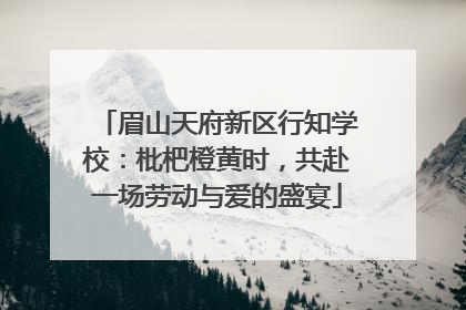 眉山天府新区行知学校：枇杷橙黄时，共赴一场劳动与爱的盛宴