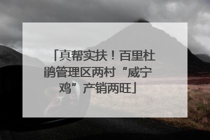 真帮实扶！百里杜鹃管理区两村“威宁鸡”产销两旺