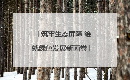 筑牢生态屏障 绘就绿色发展新画卷