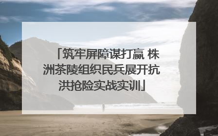 筑牢屏障谋打赢 株洲茶陵组织民兵展开抗洪抢险实战实训