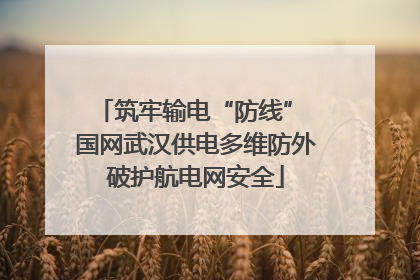 筑牢输电“防线” 国网武汉供电多维防外破护航电网安全
