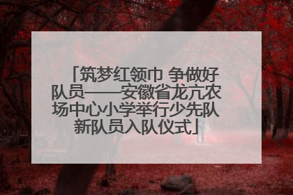 筑梦红领巾 争做好队员——安徽省龙亢农场中心小学举行少先队新队员入队仪式