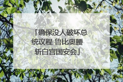 确保没人破坏总统议程 鲁比奥腰斩白宫国安会