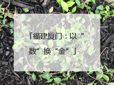 福建厦门：以“数”换“金”