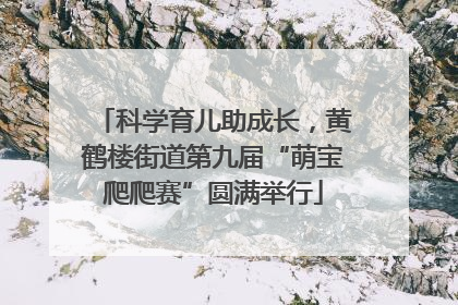 科学育儿助成长，黄鹤楼街道第九届“萌宝爬爬赛”圆满举行