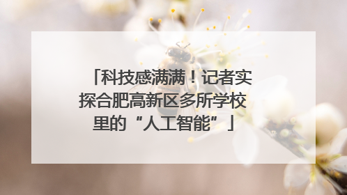 科技感满满！记者实探合肥高新区多所学校里的“人工智能”