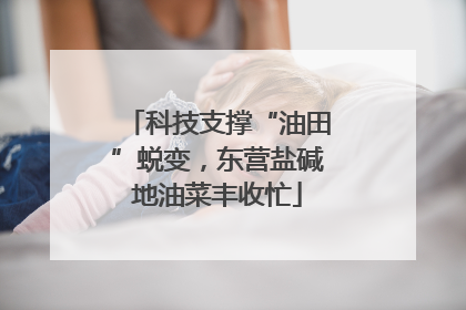 科技支撑“油田”蜕变，东营盐碱地油菜丰收忙