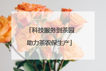 科技服务到茶园 助力茶农保生产