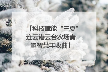 科技赋能“三夏” 连云港云台农场奏响智慧丰收曲