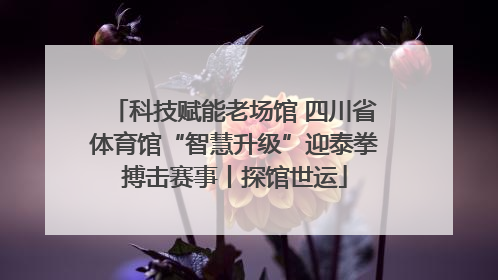 科技赋能老场馆 四川省体育馆“智慧升级”迎泰拳搏击赛事丨探馆世运