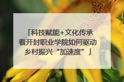 科技赋能+文化传承 看开封职业学院如何驱动乡村振兴“加速度”
