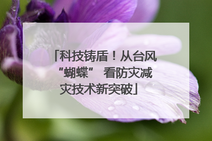 科技铸盾！从台风“蝴蝶” 看防灾减灾技术新突破
