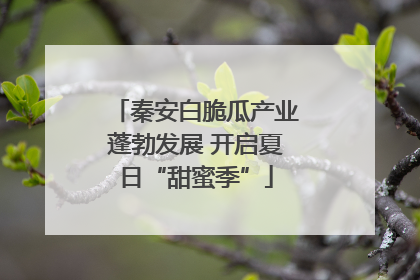 秦安白脆瓜产业蓬勃发展 开启夏日“甜蜜季”
