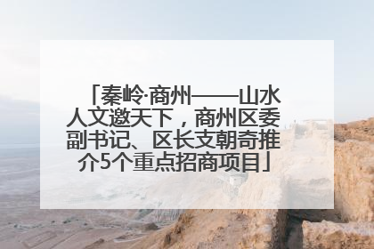 秦岭·商州——山水人文邀天下，商州区委副书记、区长支朝奇推介5个重点招商项目
