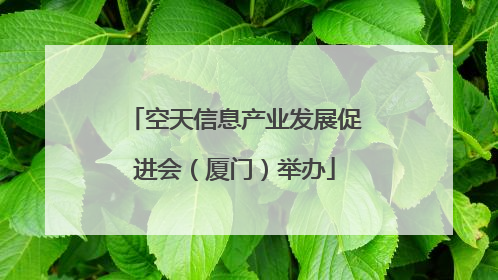 空天信息产业发展促进会（厦门）举办