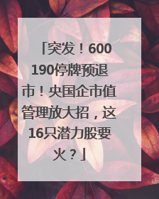 突发！600190停牌预退市！央国企市值管理放大招，这16只潜力股要火？