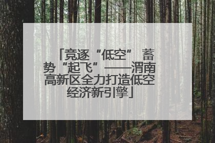 竞逐“低空” 蓄势“起飞”——渭南高新区全力打造低空经济新引擎